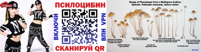 blacksprut сайт  продажа наркотиков  Миллерово  Галлюциногенные грибы мицелий 